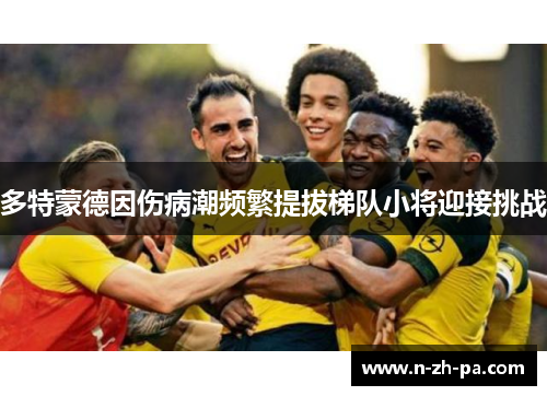 多特蒙德因伤病潮频繁提拔梯队小将迎接挑战 多特蒙德因伤病潮频繁提拔梯队小将迎接挑战