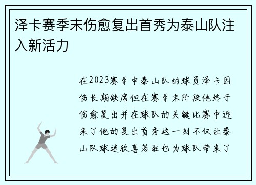 泽卡赛季末伤愈复出首秀为泰山队注入新活力
